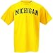 Search : Michigan Wolverines Maize Arch Logo T-shirt