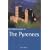 Rough Guide to the Pyrenees: The Rough Guide (Rough Guide Travel Guides)