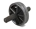 Double Exercise Wheel