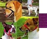 Gentle Leader Head Collar - Small - Purple