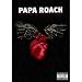 Papa Roach - Live And Murderous In Chicago [DVD] [2005]