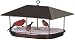 Duncraft 1744 Champion Squirrel Blocker Platform Feeder