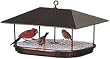 Duncraft 1744 Champion Squirrel Blocker Platform Feeder