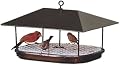 Duncraft 1744 Champion Squirrel Blocker Platform Feeder