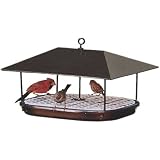 Duncraft 1744 Champion Squirrel Blocker Platform Feeder by Duncraft
