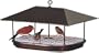 Duncraft 15401 Champion Squirrel Blocker Platform Feeder