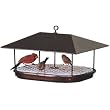 Duncraft 1744 Champion Squirrel Blocker Platform Feeder ~ Duncraft