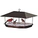 Duncraft 15401 Champion Squirrel Blocker Platform Feeder