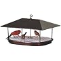 Duncraft 1744 Champion Squirrel Blocker Platform Feeder