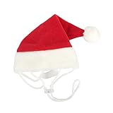 Puppia Santa Claus Hat, Large, Red