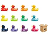 Budroom BUD0864 Mix pack Zodiac BUD Luxury Ducks