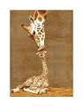 First Kiss (Giraffe with Baby) Art Poster Print - 16" X 20"