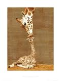 First Kiss (Giraffe with Baby) Art Poster Print - 16" X 20"