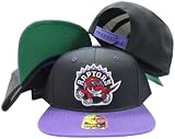 Toronto Raptors Black/Purple Old School Snap Structured Plastic Snap Snapback Hat/Cap
