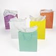 Large Pastel Gift Bags (1 dz)
