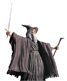 Eigenschaften Toy Biz 81388 / Toy Biz 81388 - Herr der Ringe The Fellowship of the Ring Triologie Gandalf the Grey with Light-Up Staff