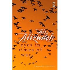 Eyes in Times of War (Salt Modern Poets)