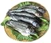 2.5 lbs. Fresh Rainbow Trout, Whole