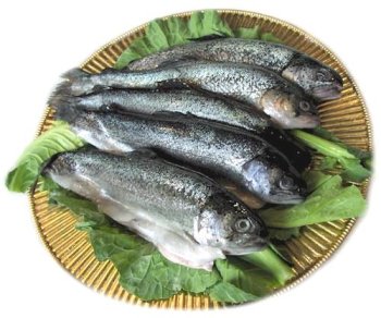 2.5 lbs. Fresh Rainbow Trout, Whole by Charleston Seafood
