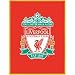 Sporting Goods : Liverpool Fleece Blanket