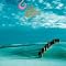 Albums that will make u see the world differently