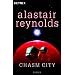 Chasm City: Roman
