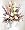 Blooming Elegance Funeral Arrangement, Premium