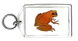 Keychain with frog, sitting, orange, amphibian, spots