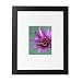 Studio Frame - Black (16x20 Mat to 8x10)