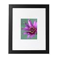 Studio Frame - Black (16x20" Mat to 8x10")
