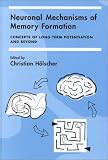 Neuronal Mechanisms of Memory Formation: Concepts of Long-term Potentiation and Beyond