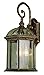 Trans Globe Lighting 44181 BK Outdoor Wentworth 19" Wall Lantern, Black