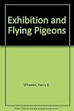 Exhibition and flying pigeons