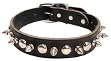 Latigo Spike & Stud Collars - 1 in. x 20 in. Black
