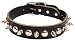 Pet Supplies : Latigo Spike & Stud Collars - 1 in. x 20 in. Black