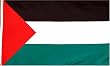 Palestine National Country Flag - 3 foot by 5 foot Polyester (New)
