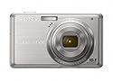 Sony Cybershot DSC-S950 10MP Digital Camera with 4x Optical Zoom with Super Steady Shot Image Stabilization (Silver)