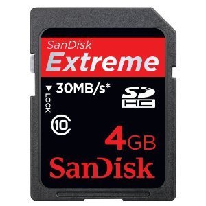 SanDisk Extreme 4 GB SDHC Card (SDSDX3-004G-P31)