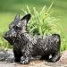 Scottie Dog Planter