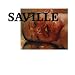 Jenny Saville