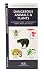 Dangerous Animals & Plants: An Introduction to Dangerous North American Species (North American Nature Guides)