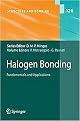 Halogen Bonding (Hardcover)