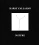 Harry Callahan: Nature