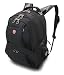 Electronics : SwissGear Computer Backpack (Black)