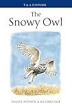 The snowy owl