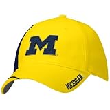 Nike Michigan Wolverines Gold Conference Swoosh Flex-Fit Hat