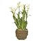 Potted Tulip Faux Floral Arrangement
