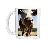 cattle-cattle (breed unknown) Photo Mugs