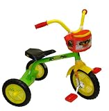 Ninja Turtles 10-Inch Tricycle