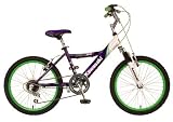 Kawasaki 73720-9 KX20G Girl's 20 Inch Bike - Green and Purple